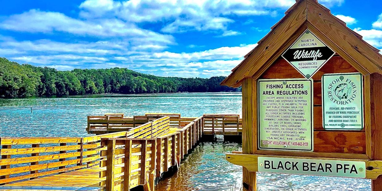 About Black Bear Campground